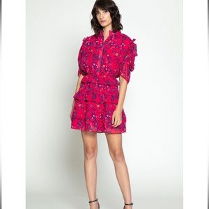 Walter Baker Resse Ruffled Dress Size 0 XS Hot Pink Floral Sheer Mini